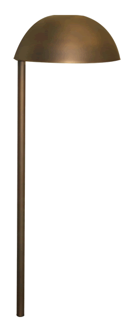 P-101