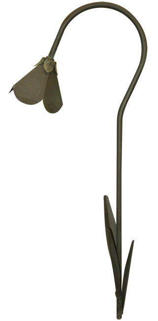 P-704